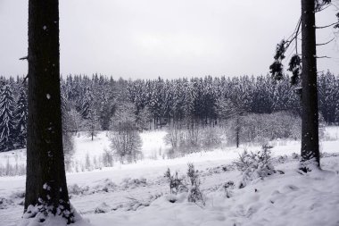 Eifel 'de kışın çekilen manzara fotoğrafı bulutlu bir gökyüzünün altında kar, kozalaklı ağaçlar ve yaprak döken ağaçlar görebilirsiniz.