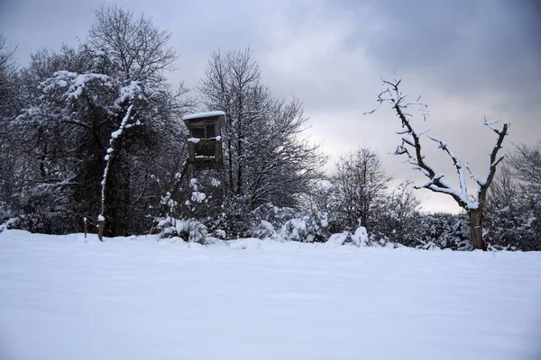 Τοπίο φωτογραφία το χειμώνα στο Eifel - Γερμανία κάτω από ένα συννεφιασμένο ουρανό, μπορείτε να δείτε χιόνι, κωνοφόρα και φυλλοβόλα δέντρα. — Φωτογραφία Αρχείου