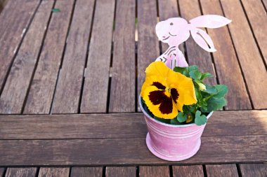 Tahta tabakta duran pembe bir Paskalya tavşanı ile çiçek saksısı.