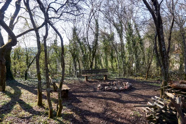 Lugar Para Una Fogata Bosque Círculo Piedras Para Picnic Naturaleza — Foto de Stock