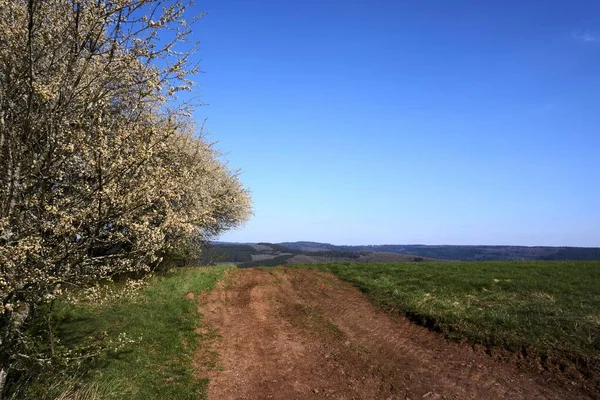 Paysage Nuages Herbe Montagnes Allemagne Vulkaneifel Rhénanie Palatinat Printemps — Photo