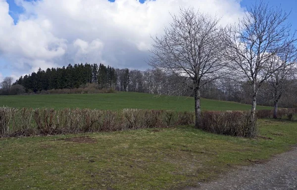 Almanya 'da bulutların, otların ve dağların manzarası, İlkbaharda Rhineland-Palatinate' de Vulkaneifel.