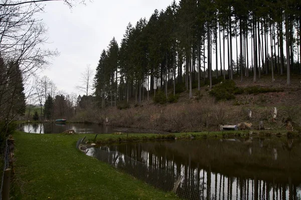 德国春天湖边的小木屋 — 图库照片