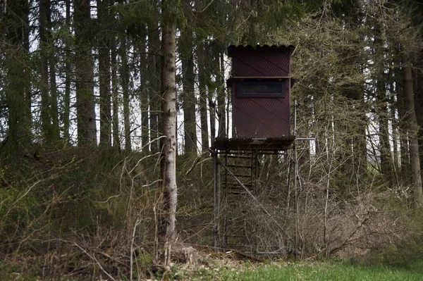 Assento Alto Para Caça Borda Ensolarada Floresta Alemanha — Fotografia de Stock