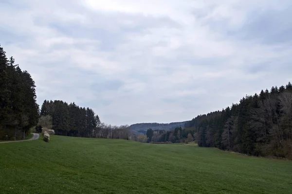 Pequeña Cabaña Madera Junto Lago Primavera Alemania — Foto de Stock