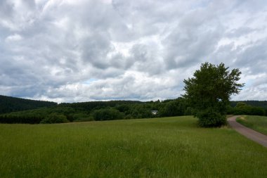 Vulkaneifel, Almanya 'daki manzaranın panoramik bir fotoğrafı..