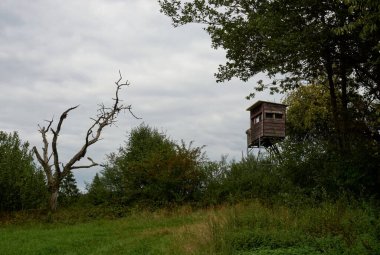 Daun, Eifel yakınlarındaki renkli ağaçlarla sonbahar manzarası