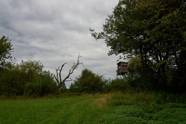 Jesienny krajobraz z kolorowymi drzewami w pobliżu Daun, Eifel — Zdjęcie stockowe