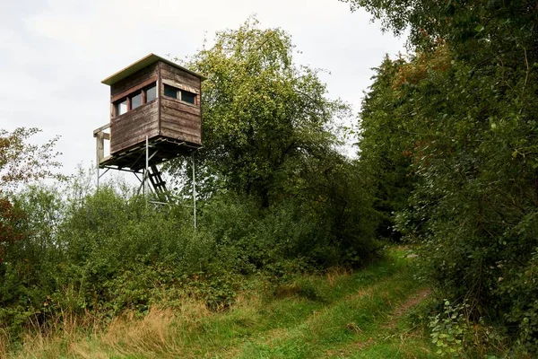 Jesienny krajobraz z kolorowymi drzewami w pobliżu Daun, Eifel — Zdjęcie stockowe