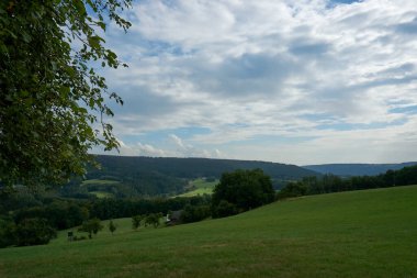 Daun, Eifel yakınlarındaki renkli ağaçlarla sonbahar manzarası.