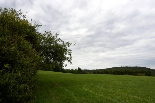 Höst Landskap Med Färgglada Träd Nära Daun Eifel — Stockfoto