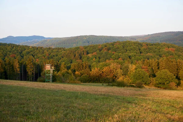 Podzimní Krajina Barevnými Stromy Blízkosti Daun Eifel — Stock fotografie