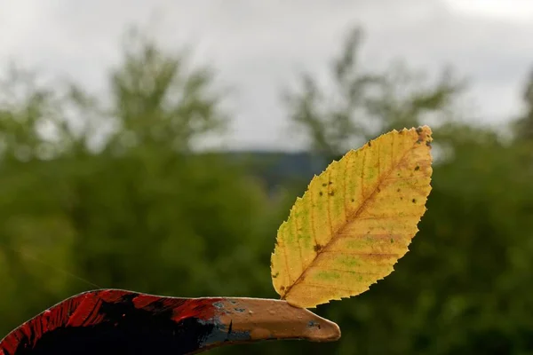 Sfondo Astratto Foglie Autunnali Sfondo Autunno — Foto Stock