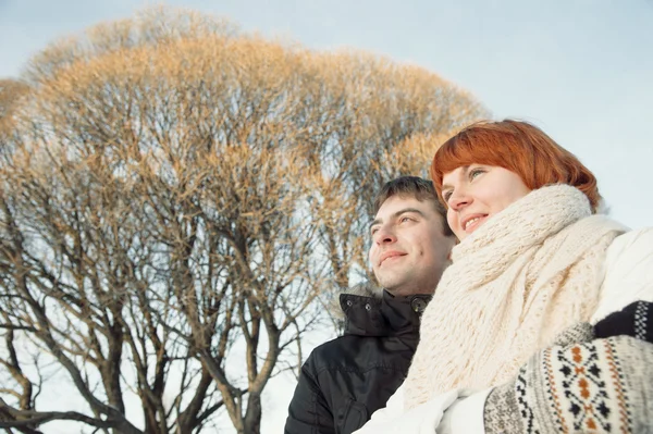 Ritratto di coppia nel parco invernale — Foto Stock