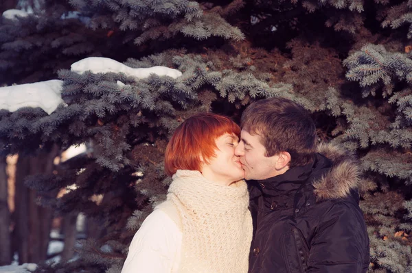 Casal beijando no parque de inverno Fotos De Bancos De Imagens