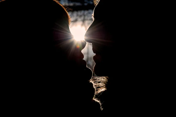 Silhouette di baciare coppia nel parco invernale Foto Stock