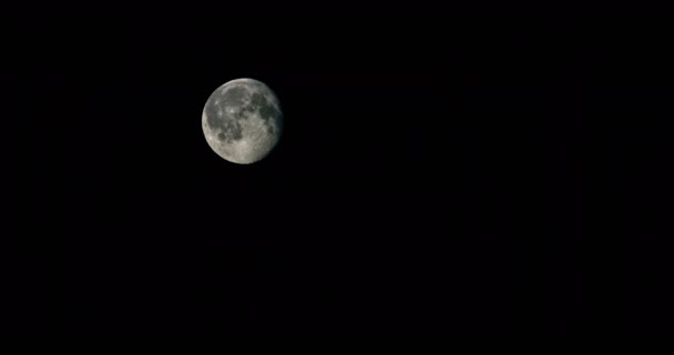 Full moon in dark sky at night — Stock Video