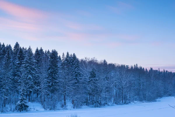 Floresta paisagem e nuvens borrão no céu por do sol na neve inverno se — Fotografia de Stock