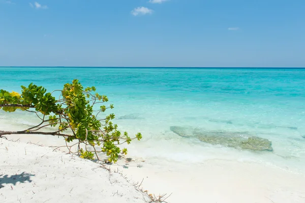 Mooie scène in Indische Oceaan Stockfoto