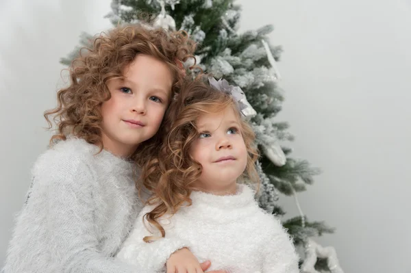 Meninas perto de árvore de natal — Fotografia de Stock