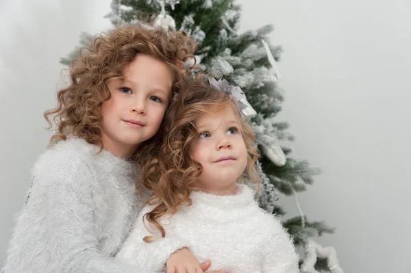 Mädchen in der Nähe von Weihnachtsbaum — Stockfoto