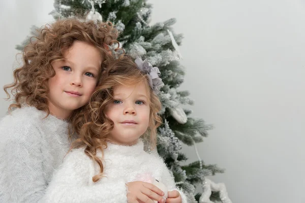 Τα κορίτσια κοντά χριστουγεννιάτικο δέντρο — Φωτογραφία Αρχείου
