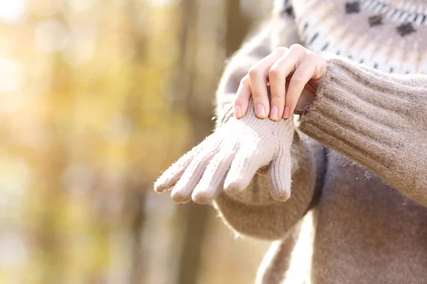 Close Mãos Mulher Colocando Luvas Inverno Parque — Fotografia de Stock