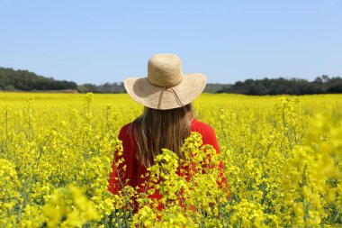 Kırmızı elbiseli, sarı çiçekli bir tarlada yürüyen bir kadının arka plan portresi.