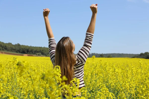 Tillbaka Visa Porträtt Upphetsad Kvinna Höja Armarna Ett Fält Sommarsemester — Stockfoto