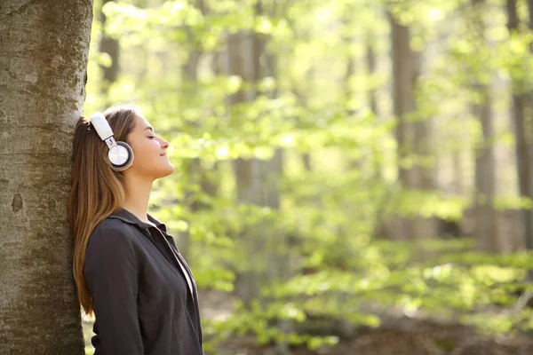 Profile Relaxed Woman Resting Listening Music Headphones Forest Stock Image