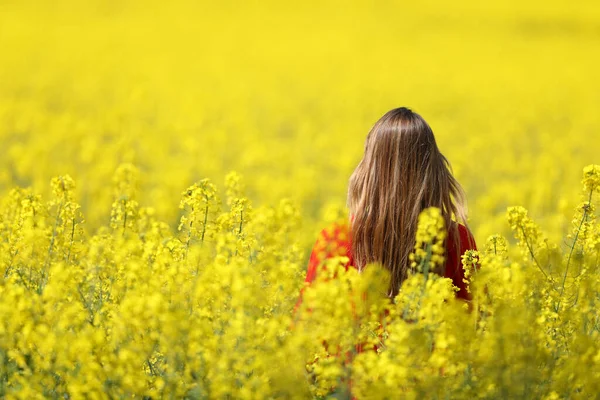 Retrato Retrovisor Una Mujer Caminando Campo Amarillo Primavera —  Fotos de Stock
