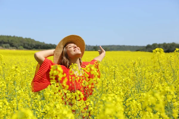 Mulher Excitada Braços Alongamento Espalhando Vermelho Campo Flores Amarelas — Fotografia de Stock