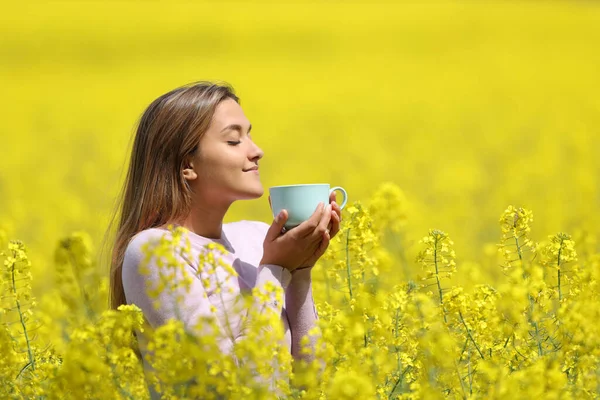 Retrato Una Mujer Tomando Café Medio Campo Amarillo Primavera — Foto de Stock