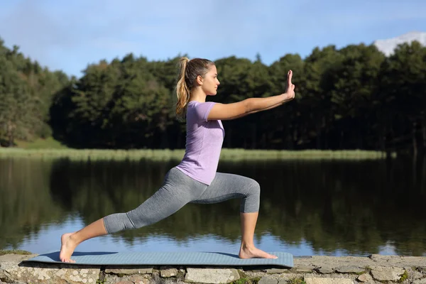 Visão Lateral Retrato Corpo Inteiro Uma Mulher Praticando Tai Chi — Fotografia de Stock