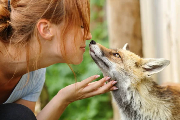 Happy Woman Loving Animals Kissing Fox Farm — Φωτογραφία Αρχείου