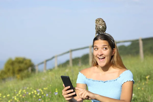 Niesamowita Kobieta Przy Użyciu Smartfona Znajduje Dziką Sowę Rozgałęzioną Głowie — Zdjęcie stockowe