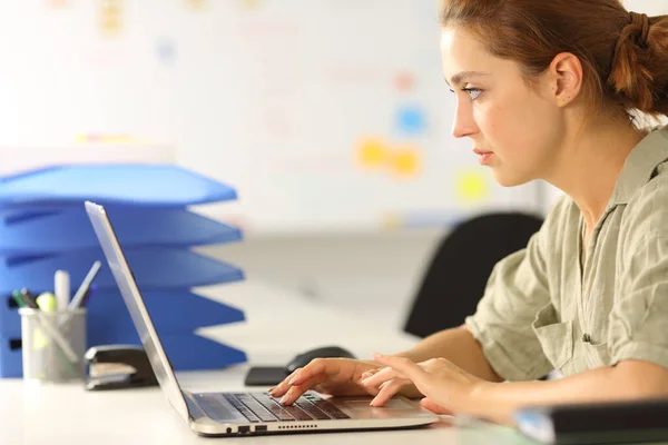 Side View Portrait Concentrated Woman Working Checking Laptop Office — Stockfoto