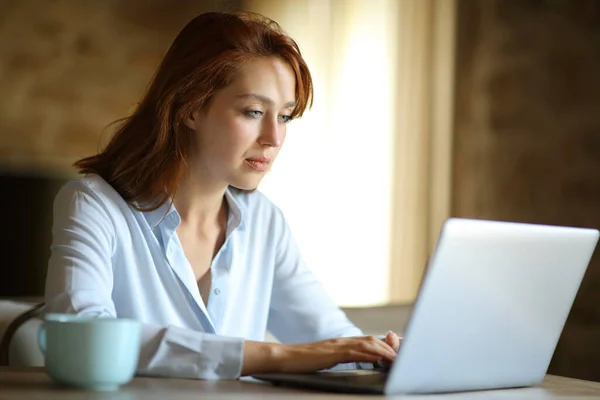 Frilansande Koncentrerad Kvinna Arbetar Online Med Bärbar Dator Hemma — Stockfoto