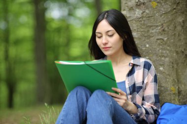 Parkta ya da ormanda oturan Asyalı öğrenci okuma notları öğreniyor
