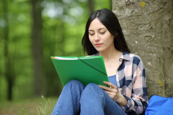 Estudiante Asiático Aprendiendo Notas Lectura Sentado Parque Bosque —  Fotos de Stock