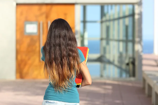 Vista trasera de una adolescente caminando hacia la escuela —  Fotos de Stock