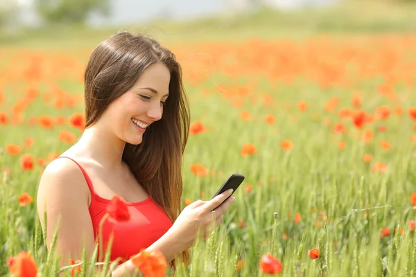 Menina mensagens de texto em um telefone inteligente em um campo colorido — Fotografia de Stock