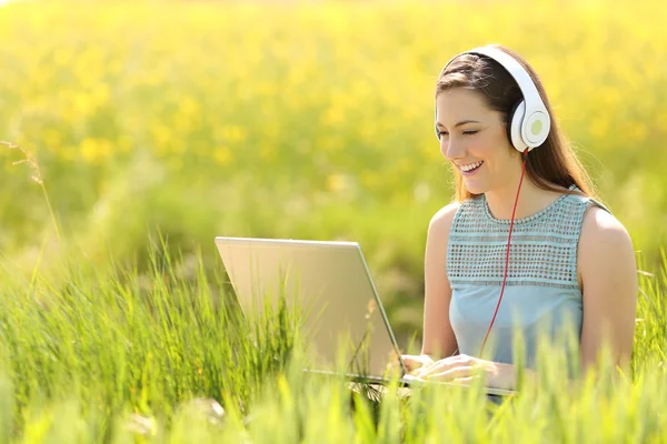 Mulher trabalhando com um laptop em um campo no verão — Fotografia de Stock