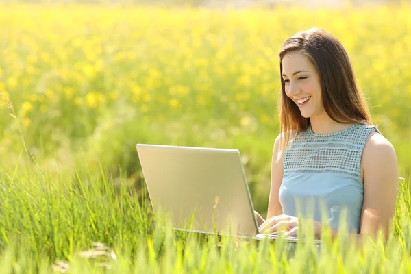 Vrouw die werkt met een laptop in een veld — Stockfoto