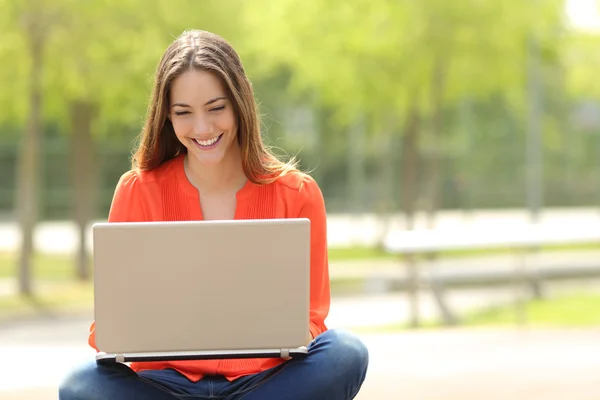 Siswa perempuan yang bekerja dengan laptop di taman hijau Stok Gambar
