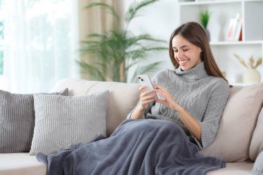 Kışın evde kanepede battaniyeye sarılı telefonu kullanan mutlu bir kadın.