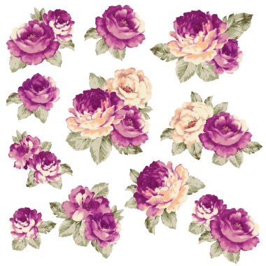 Gül illüstrasyon nesne