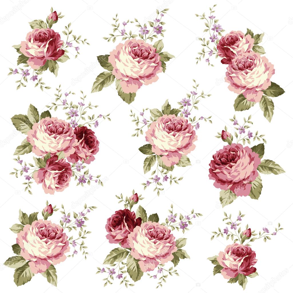 Rose flower illustration,