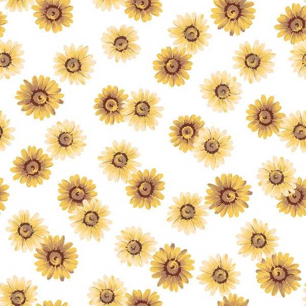 Margaret flower pattern — Stock Photo, Image