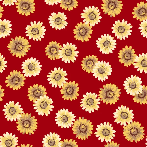 Margaret flower pattern — Stock Photo, Image